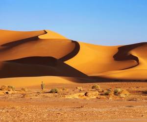 কুরবানীর জন্য কাকে নেওয়া হয়েছিল—ইসমাঈল(আ.) নাকি ইসহাক(আ.)?