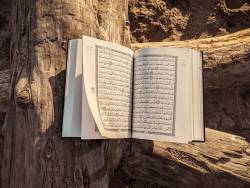 কুরআন কি আসলেই প্রাচীন কবি ইমরুল কায়েসের কবিতা থেকে নকল করে লেখা?