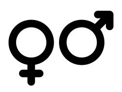 ইসলামে নারীদেরকে কি পুরুষদের তুলনায় কম অধিকার দেয়া হয়েছে?