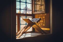 স্রষ্টার প্রজ্ঞার অনন্য এক নিদর্শন – নাসখ