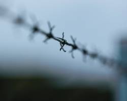 ইসলামোফোবিয়া